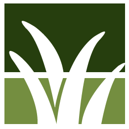 Kirkland Lawn Clean Up