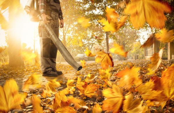 Leaf Blowing Service in Kirkland
