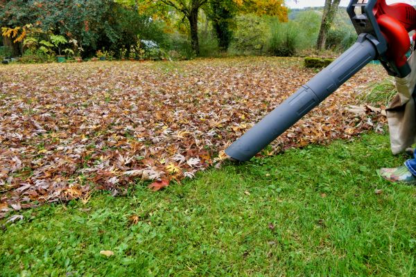 Leaf Vacuuming Service in Kirkland