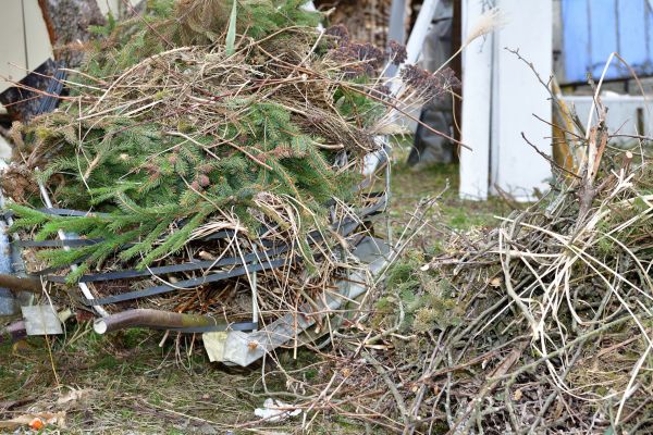 Yard Debris Removal in Kirkland