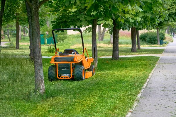 Landscaping Cleanup Service in Kirkland