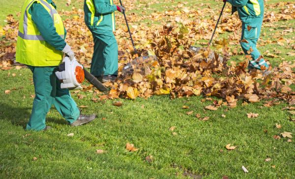 Cost of Leaf Maintenance in Kirkland