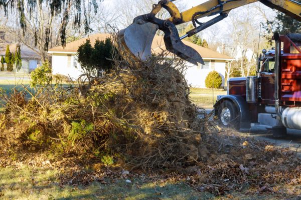 Storm Debris Removal in Kirkland