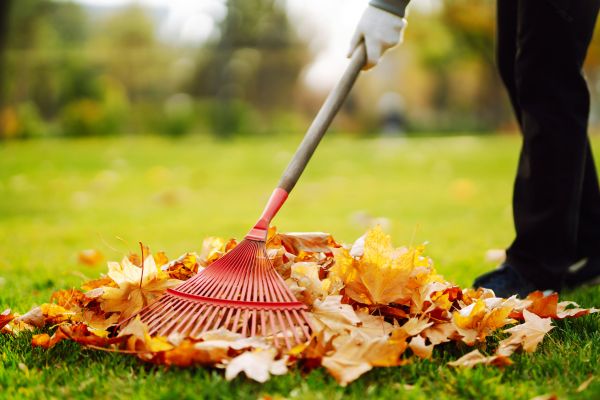 Cost of Ditch Leaf Removal in Kirkland