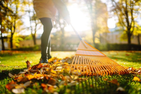 Leaves Raking in Kirkland