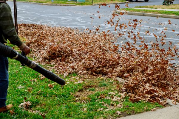 Cost of Garden Leaf Removal in Kirkland