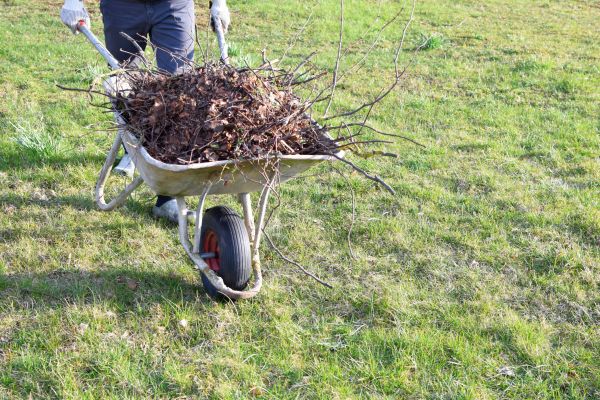 Yard Brush Removal in Kirkland