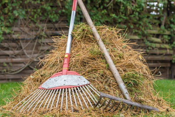Cost of Pine Straw Clearing in Kirkland
