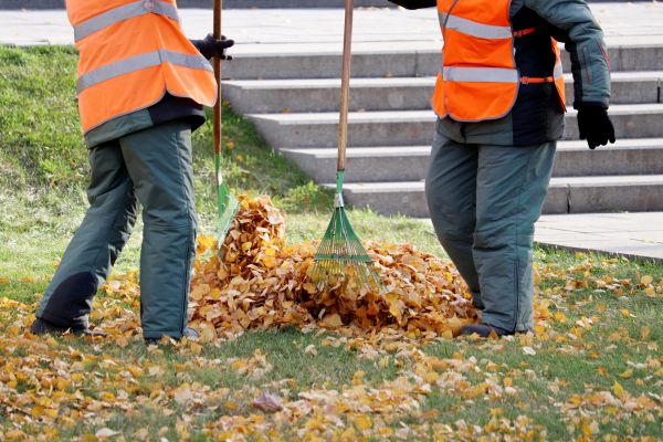 Cost of Leaf Hauling Service in Kirkland