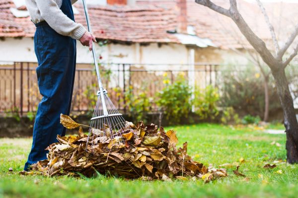 Spring Lawn Cleanup in Kirkland