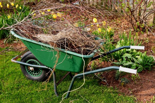 Lawn Waste Removal in Kirkland