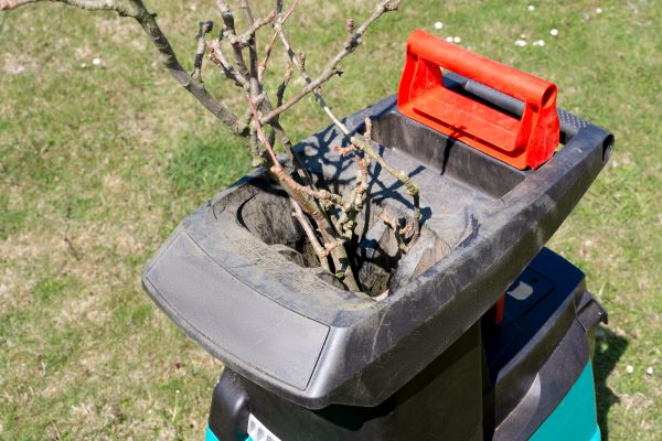 Cost of Brush Cleanup Service in Kirkland