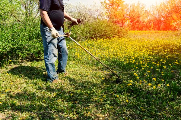 Cost of Yard Clearing Service in Kirkland