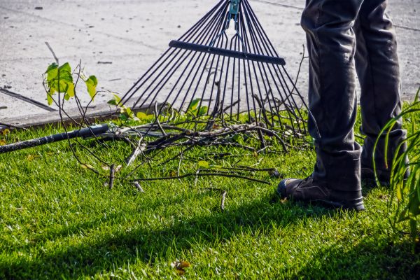 Yard Debris Cleanup in Kirkland
