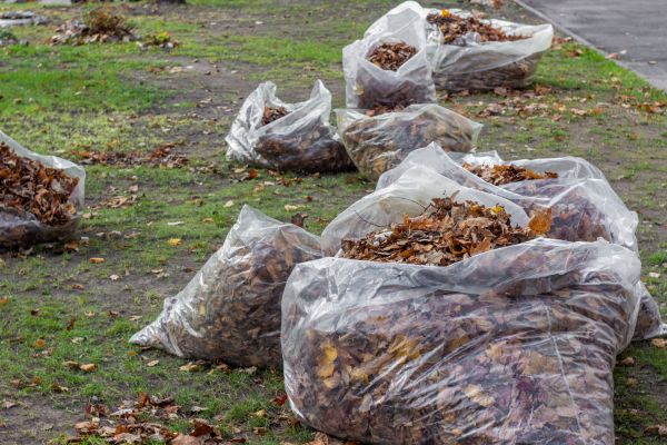Cost of Leaf Pile Disposal in Kirkland