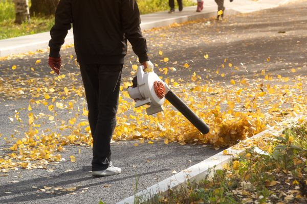 Commercial Leaf Removal in Kirkland