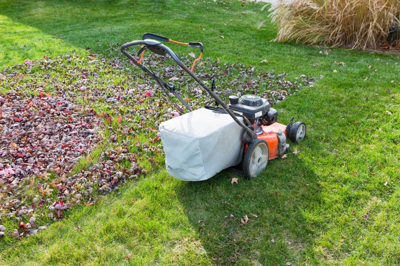 Leaf Removal Equipment