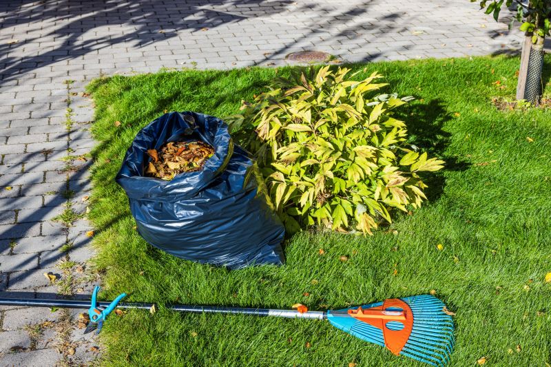 Summer Lawn Maintenance